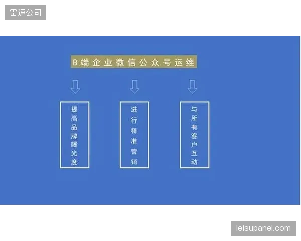 体育流媒体平台版权分发路径从粗放采买转向精准触达订阅