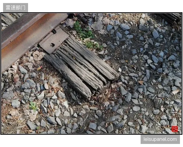 成都成渝铁路城市公园的“体育廊道”构想：废弃铁轨如何串联起被割裂的社区健身生态？